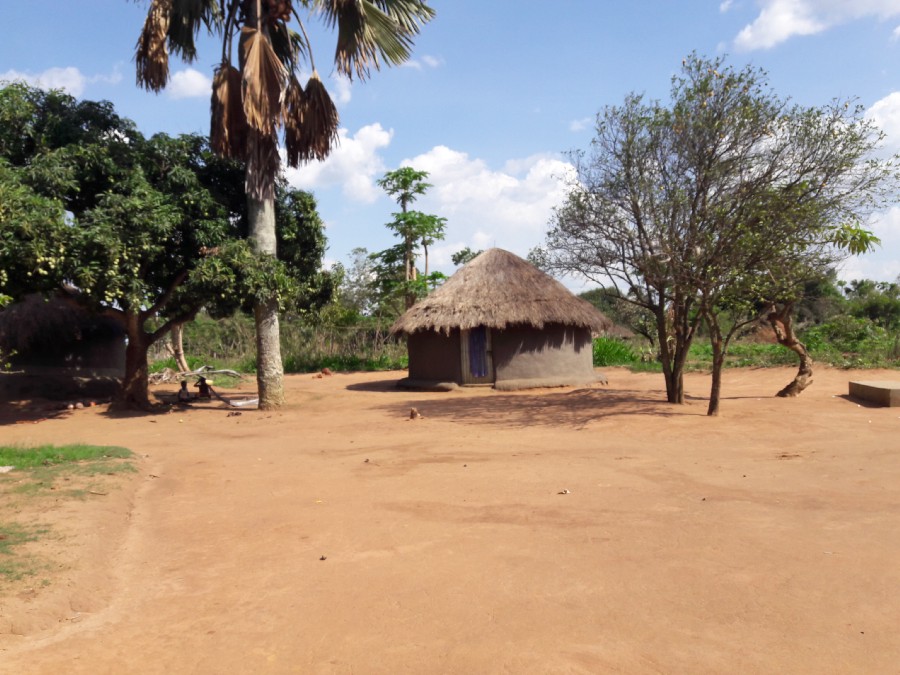 1-nnswB47wZrCqItr_sKZRkQ