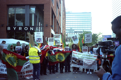 tumblr_inline_oh4nmm2ZfQ1qahhvq_500