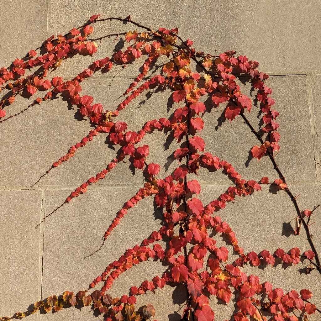 phase three; keep trying&nbsp;history